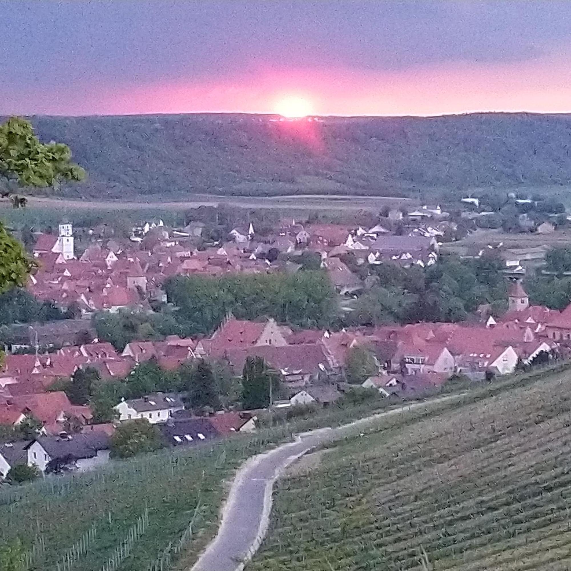 Kirschberghof Gästehaus und Weinverkauf Sommerhausen Exterior foto