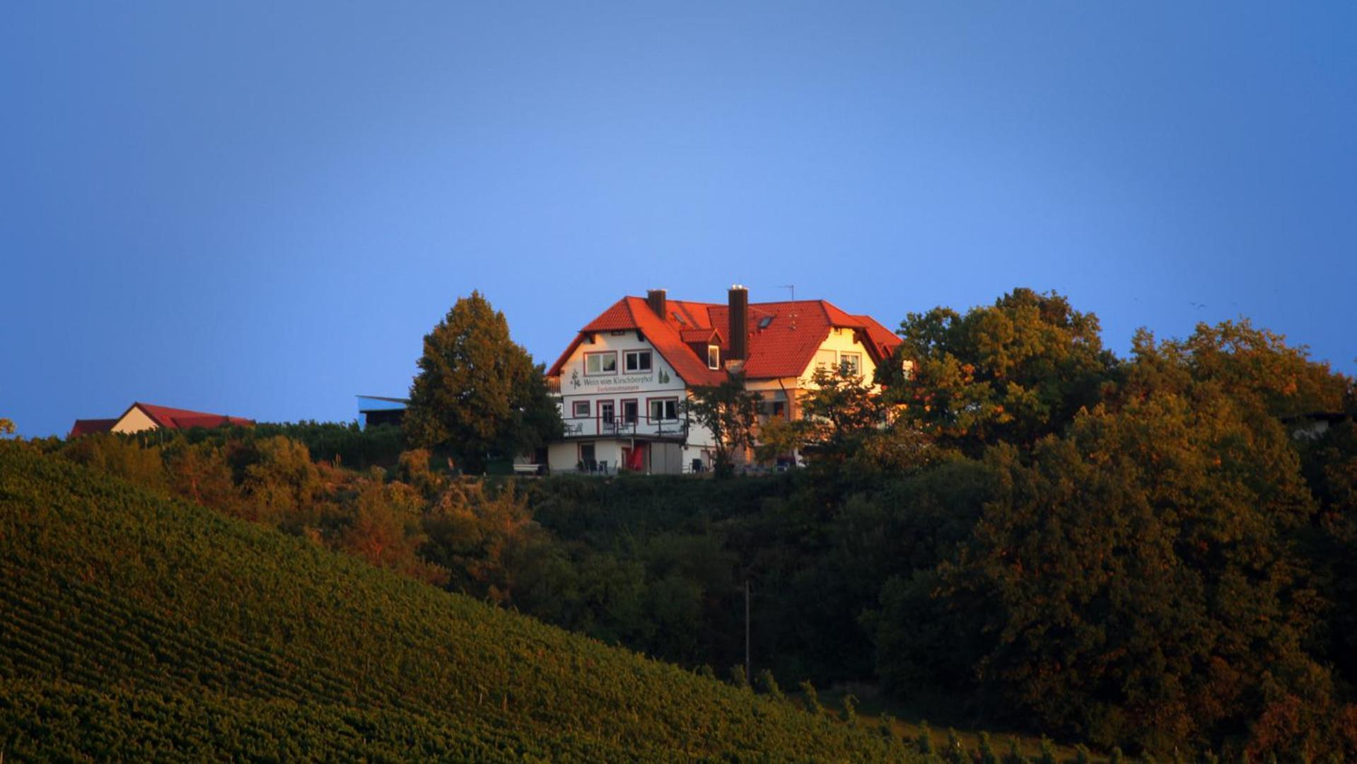 Kirschberghof Gästehaus und Weinverkauf Sommerhausen Exterior foto